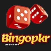 Bingo PKR Real Money Game Interface with Bonus and Withdraw Options